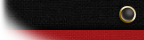 Warrant Officer